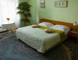 Na Smetance G Apartmán